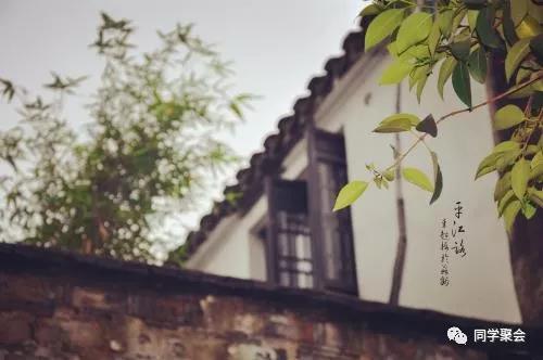 天津同学聚会网|今生难忘同学情