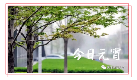 天津同学聚会|回校路上的你，今天吃元宵了吗？
